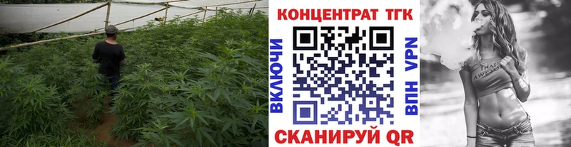 сколько стоит  Сальск  ТГК гашишное масло 