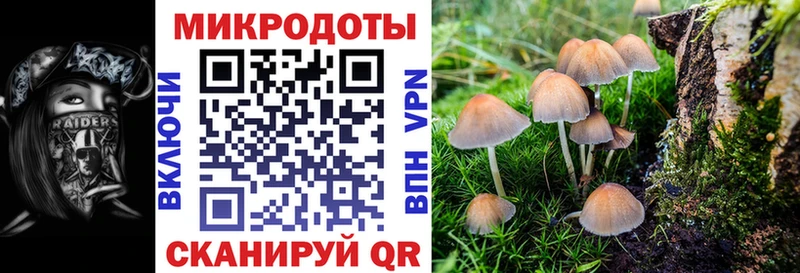 Галлюциногенные грибы Magic Shrooms Сальск